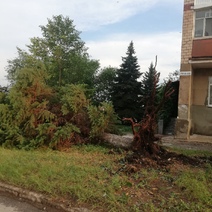 По Бугуруслану прошелся шторм