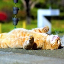 Оренбуржье оказалось одной из самых горячих точек мира