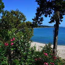 Отдохнуть в Абхазии не удалось: оренбуржец отдал лжетуроператорам 100 000 рублей