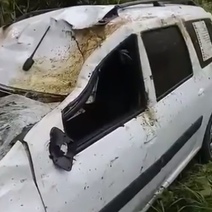 Оренбуржец сбил лося на трассе: погибли и водитель и животное (18+)