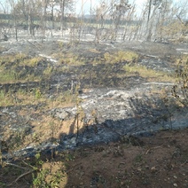 В Саракташском районе выгорело 1,5 гектара сухой травы