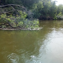 Переплывал реку с сыном: подробности гибели мужчины на реке Самара (18+)