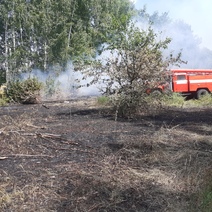 В Бузулукском районе полыхал степной пожар на площади в 2,5 га
