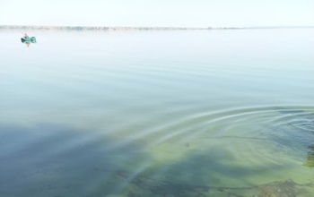 Оренбуржцы обеспокоены изменившимся цветом воды на Ириклинском водохранилище