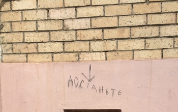 В Оренбурге в подвале многоэтажки замуровали котов