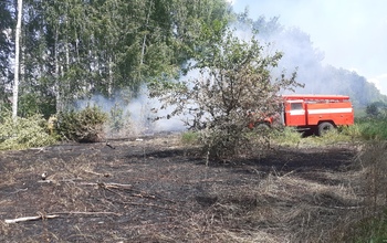В Бузулукском районе полыхал степной пожар на площади в 2,5 га