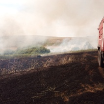 В Новосергиевском районе сгорело 1,5 гектара сухой травы