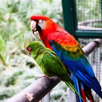В Геленджике задержан оренбуржец-фотоживодёр