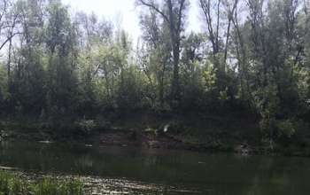 В Оренбурге водолазы выехали на поиски тела утонувшего мужчины (18+)