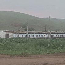 Из-за урагана в Оренбургской области погиб парень (18+)