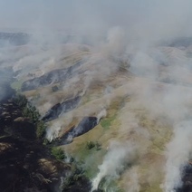 В Оренбуржье выгорело почти 30 тысяч гектаров заповедника