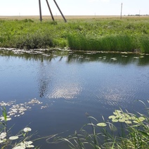 В Адамовском районе водолазы обнаружили тело пропавшего мужчины (18+)