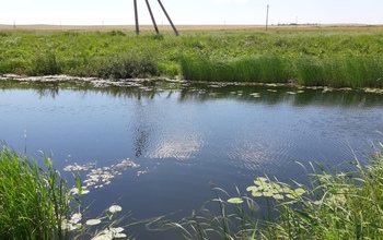 В Адамовском районе водолазы обнаружили тело пропавшего мужчины (18+)