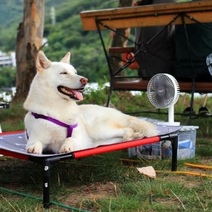 Оренбуржцам обещают 