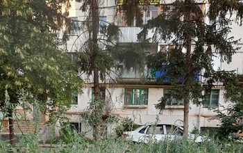 В Бугуруслане дворы заросли травой