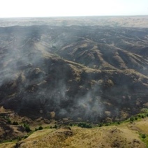 В Медногорске пожарные второй день тушат траву в горах