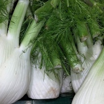 Роспотребнадзор призывает оренбуржцев есть больше зелени