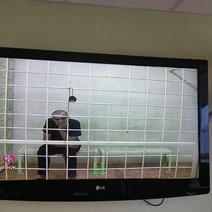 Пьяного нарушителя суд отправил вместо исправработ в колонию