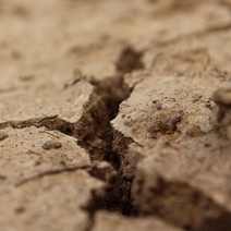 Из-за засухи ввели режим ЧС в 18 городах и районах Оренбуржья