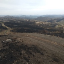 В Медногорске продолжают борьбу с огнем, часть удалось ликвидировать