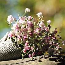 Оренбуржцы женятся чаще, чем жители некоторых других регионов