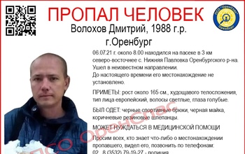 В Оренбургском районе мужчина ушел с пасеки и пропал