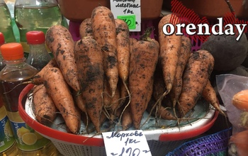 Где в Оренбурге овощи стоят дешевле?