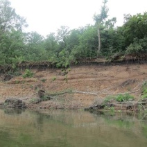 В Бугуруслане фермер незаконно занял землю у реки