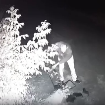 В Оренбурге волонтеры возмущены тем, что в приют постоянно подбрасывают животных