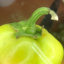 В Оренбуржье местных жителей 