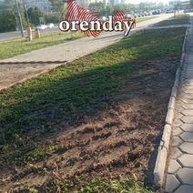 Так кто настоящий виновник гибели цветов на клумбах Оренбурга?