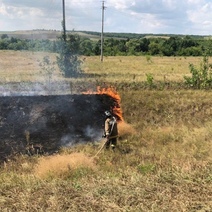 В Бузулукском районе огонь мог перейти с сухой травы на жилые дома