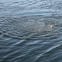 В Курманаевском районе утонули двое мужчин (18+)