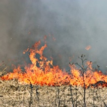 Огнеборцы из Октябрьского района боролись сразу с двумя возгораниями сухой травы