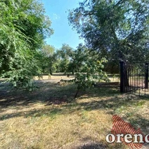 Оренбургские чиновники, похоже, мыслят проектами