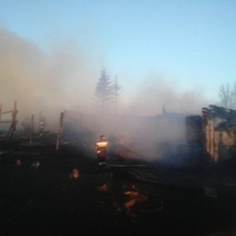 В Абдулинском районе огонь уничтожил сарай с животными