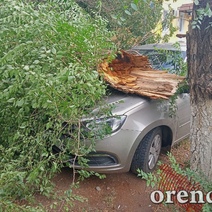 Последствия непогоды в Оренбурге: сильный ветер повалил деревья и вынес лобовое стекло авто