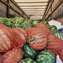 В Оренбуржье пытались завезти почти 500 тонн дынь и арбузов