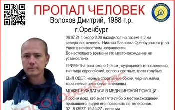 Под Оренбургом прошли очередные поиски Дмитрия Волохова, пропавшего с пасеки