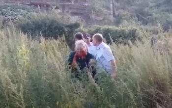 В Переволоцком районе полицейские в зарослях травы отыскали пропавшую старушку