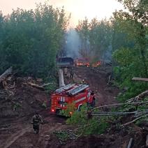 В Оренбурге локализовали лесной пожар в районе СНТ «Урал»