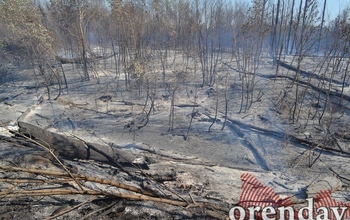 Два крупных пожара ликвидированы в Оренбуржье