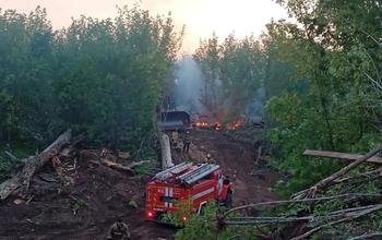 В Оренбурге локализовали лесной пожар в районе СНТ «Урал»