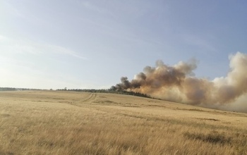 Поджигатель из Первомайского района, спаливший лес, выслушал приговор