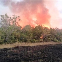 В Переволоцком районе ликвидировали природный пожар