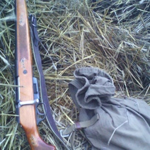 В Минприроды Оренбуржья «прозевали» сроки охоты на косулю