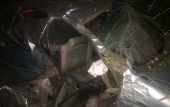 В Переволоцком районе авто слетело в кювет, где въехало в дерево