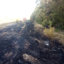 В Новосергиевском районе загорелась лесополоса вдоль железной дороги
