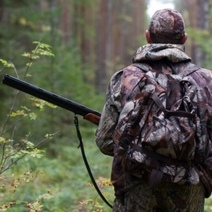 В Минприроды спохватились и назначили «лотерею» на право отстрела косуль