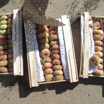 До Оренбуржья не доехали казахстанские фрукты